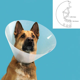 Elizabethan Dog Collar KVP Quick Fit Transparent (33-40 cm)