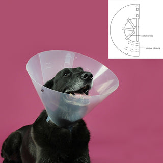 Elizabethan Dog Collar KVP Betsy Transparent (33-41 cm)