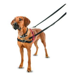 Dog Harness Company of Animals Halti Black/Red L (80-120 cm)