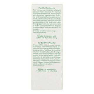 Toothpaste Oral Care Weleda (75 ml) - Dulcy Beauty