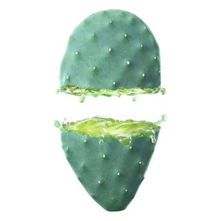Moisturizing Facial Lotion Cactus Opuntia 24h Weleda 102079 30 ml - Dulcy Beauty