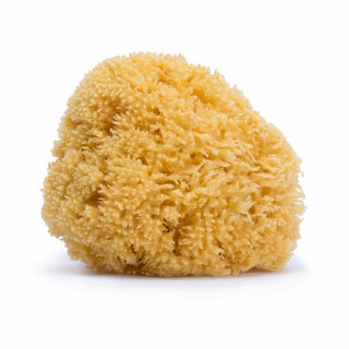 Body Sponge Suavinex Large Natural - Dulcy Beauty