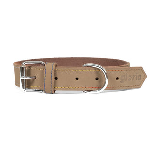 Collar de perros Gloria Oasis beige (1,2 x 35 cm)