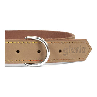 Collar de perros Gloria Oasis beige (1,2 x 35 cm)