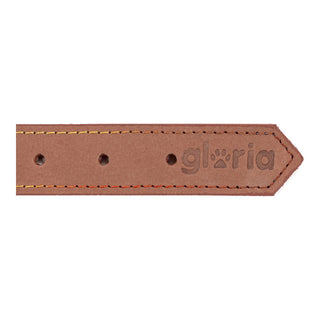 Collar per cani Gloria Oasis Brown (40 x 1,5 cm)