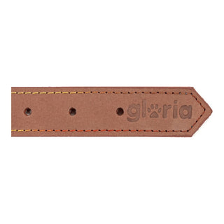 Collar per cani Gloria Oasis Brown (40 x 1,5 cm)