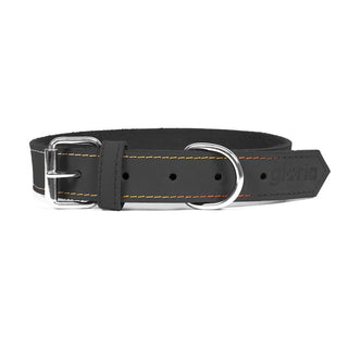 Collar per cani Gloria Oasis Black (1,5 x 40 cm)