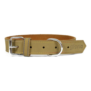 Collar de perros Gloria Oasis Green (40 x 1,5 cm)