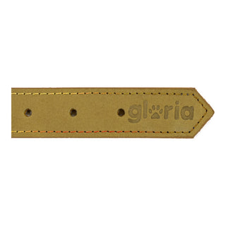 Collar de perros Gloria Oasis Green (40 x 1,5 cm)