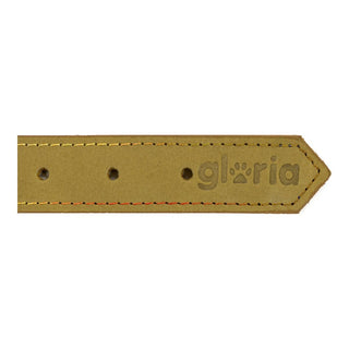 Collar de perros Gloria Oasis Green (40 x 1,5 cm)