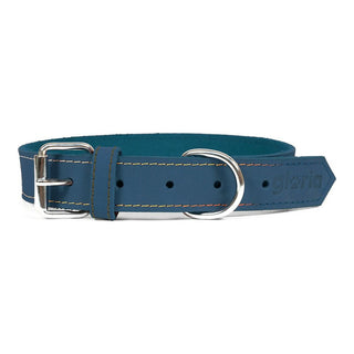 Collar per cani Gloria Oasis Blue (45 x 1,8 cm)