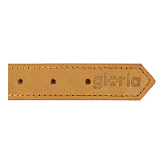 Collar de perros Gloria Oasis Amarillo (50 x 2,1 cm)