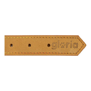 Collar de perros Gloria Oasis Amarillo (50 x 2,1 cm)