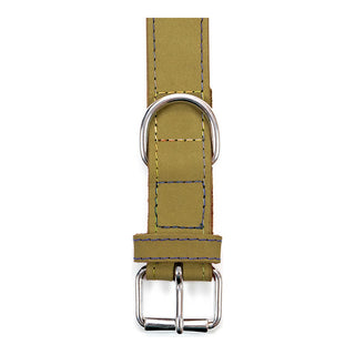 Dog collar Gloria Oasis Green (50 x 2,1 cm)