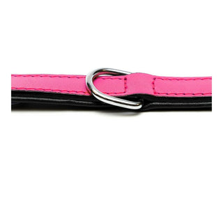 Collar de perros Gloria Fucsia acolchada (30 x 1,5 cm)