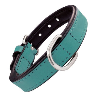 Dog collar Gloria Padded Turquoise (35 x 1,5 cm)