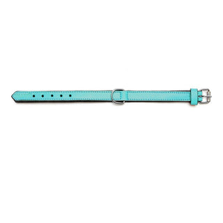 Dog collar Gloria Padded Turquoise (35 x 1,5 cm)