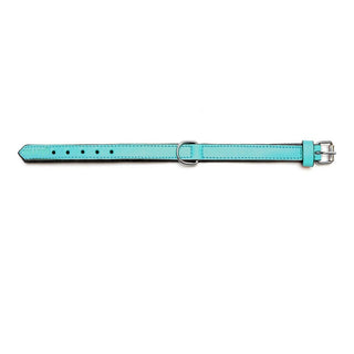 Dog collar Gloria Padded Turquoise 40 cm (40 x 2 cm)