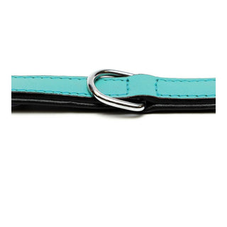 Dog collar Gloria Padded Turquoise 40 cm (40 x 2 cm)