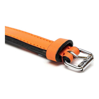 Dog collar Gloria Padded Orange (40 x 2 cm)