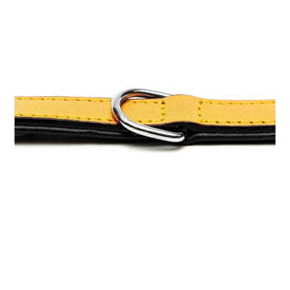 Collar de perros Gloria amarillo acolchado (40 x 2 cm)