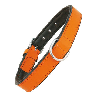 Collar de perros Gloria Orange acolchado (50 x 2,5 cm)