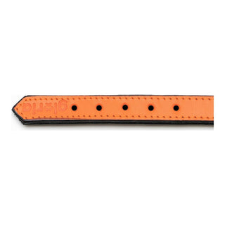 Collar de perros Gloria Orange acolchado (50 x 2,5 cm)