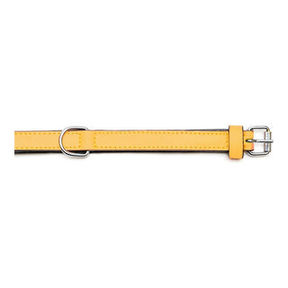 Dog collar Gloria Padded Yellow (50 x 2,5 cm)