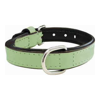 Collar de perros Gloria Verde acolchado (55 x 2,5 cm)