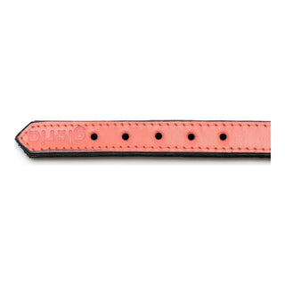 Collar de perros Gloria Coral acolchado (30 x 1,5 cm)