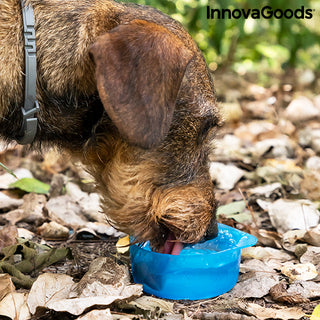 Bottiglia da 2 in 1 con container per acqua e alimenti per animali domestici Pettap