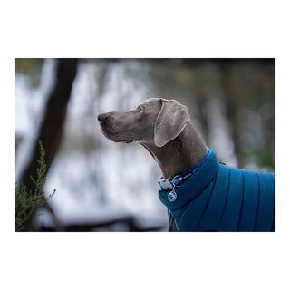 Dog Coat Red Dingo Puffer Turquoise 30 cm