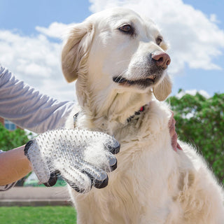 Haustierpinsel & Massagehandschuh Relpet Innovagoods