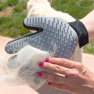 Haustierpinsel & Massagehandschuh Relpet Innovagoods